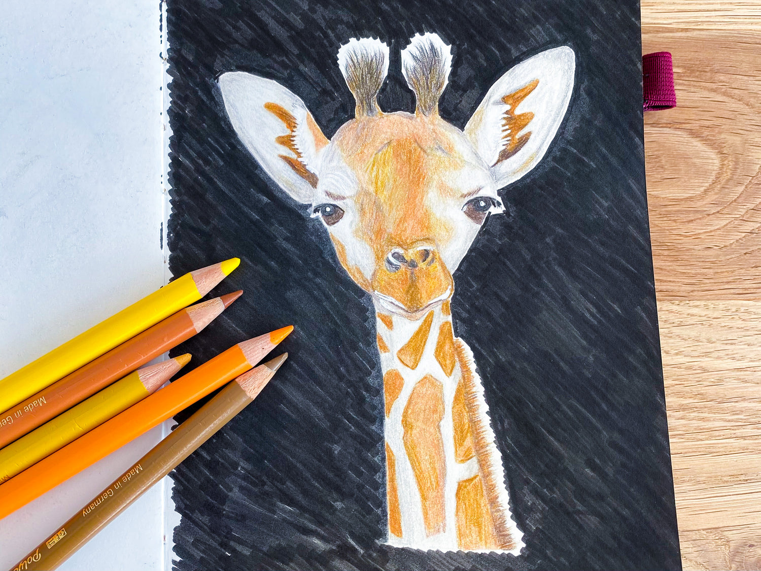 Buntstifte Zeichnung Giraffe
